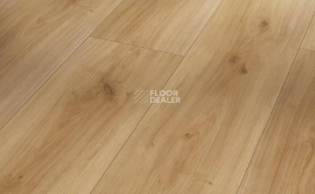 Ламинат Parador Basic Plus 600 XS 1593845 Дуб Горизонт фото 1 | FLOORDEALER